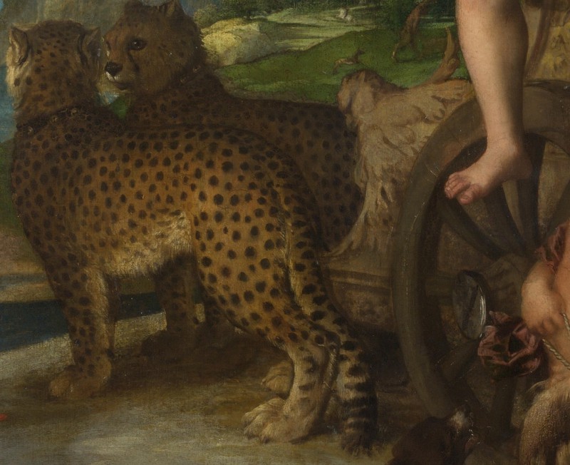Tizian: Bacchus und Ariadne - Ausschnitt (via Wikipedia Commons)