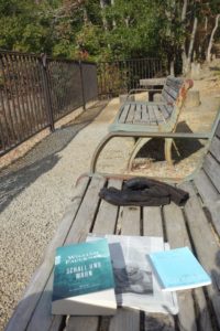 Faulkner-Lektüre Jänner 2019 (zu Schall und Wahn) © Leopold Federmair
