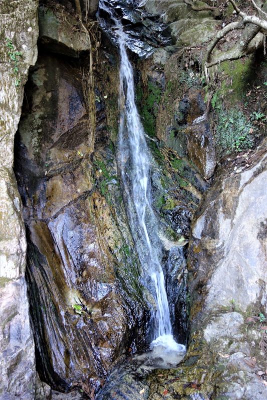 Bild 3 – Kunst des Aufgebens V – © Leopold Federmair