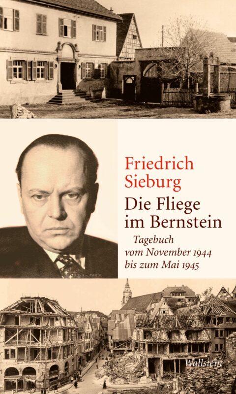 Tagebuch Friedrich Sieburg: Die Fliege im Bernstein