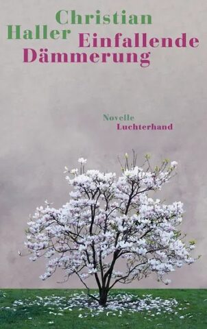 Christian Haller: Einfallende Dämmerung
